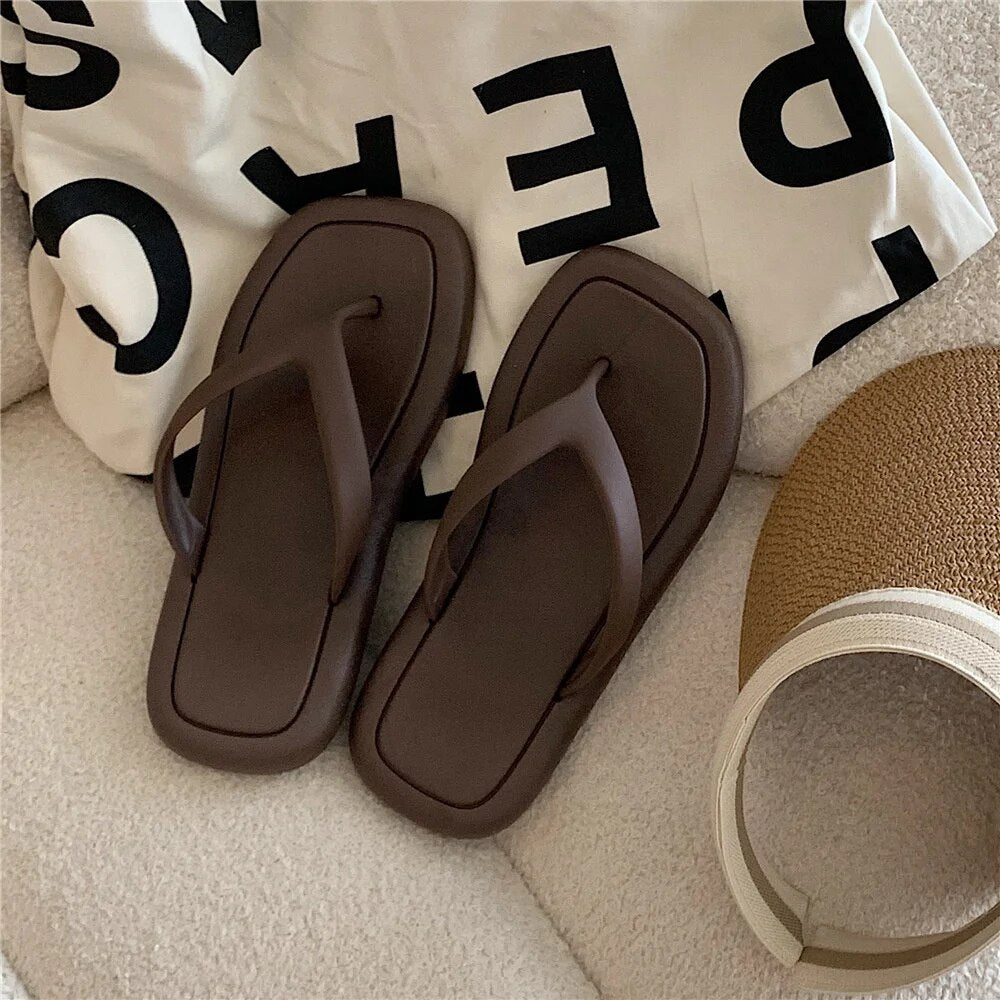 42984177107121|42984177139889|42984177172657